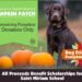 Last Chance to Pick Up a Pawsom Pumpkin from our Patch!